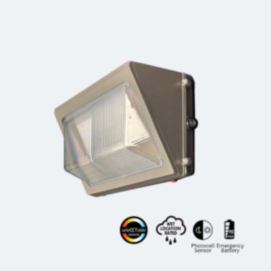 Exterior Light Fixture With Battery Backup